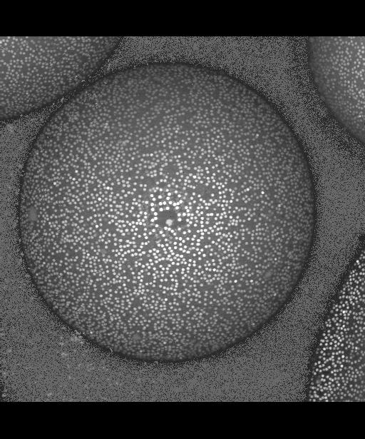 Droplet stabilized by a binary colloid mixture