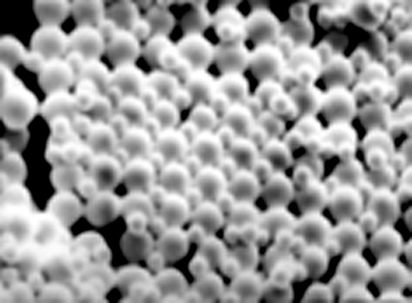 AB2  image