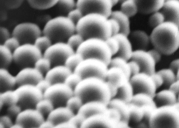 AB2 image