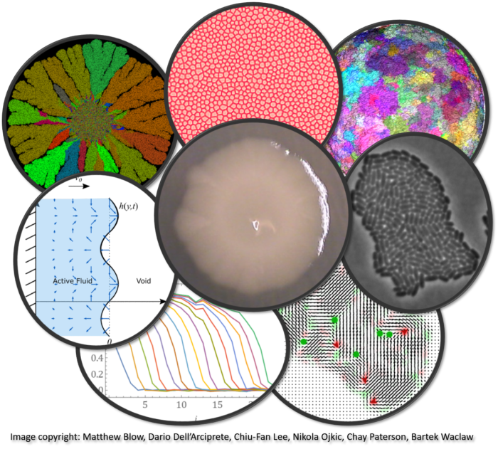 artful inclusion of microscopic images and graphs