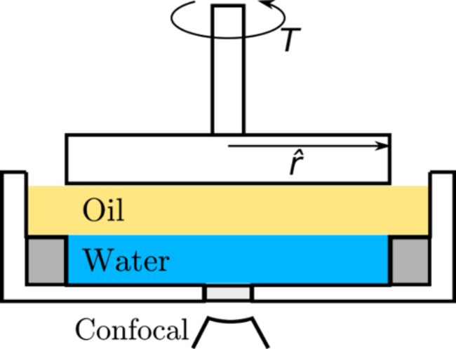 Schematic of contactless setup: a cup with an edge, the lower half filled with water, the top half filled with oil, the water-oil interface pinned by the edge; a rheometer geometry attached to the water-oil interface; a confocal microscope to measure the strain in the interface from below.